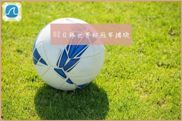 02日韩世界杯冠军揭晓
