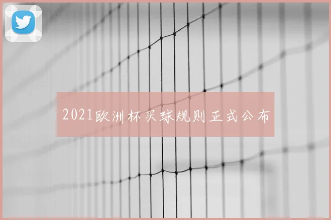 2021欧洲杯买球规则正式公布