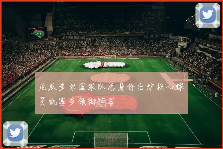 厄瓜多尔国家队总身价出炉核心球员凯塞多领衔阵容