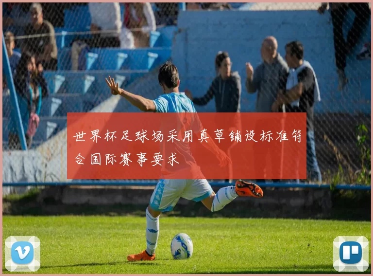 世界杯足球场采用真草铺设标准符合国际赛事要求