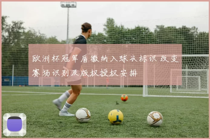 欧洲杯冠军盾徽纳入球衣标识 改变赛场识别及版权授权安排
