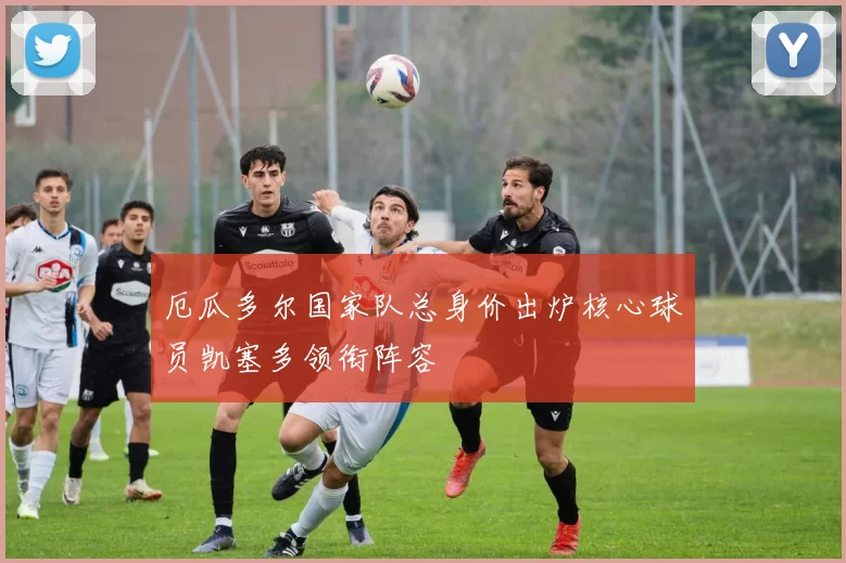 厄瓜多尔国家队总身价出炉核心球员凯塞多领衔阵容